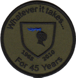 HMM-165 n45N 1965-2010