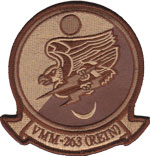 VMM-263 (REIN) SQ PATCH (Desert)